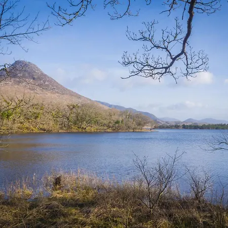 No 8 Old Manor Ballynahinch